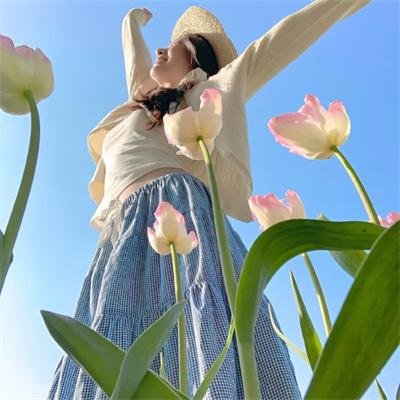 森林奇旅